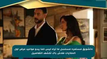 «تشويق مستمر» مسلسل ما تراه ليس كما يبدو مواعيد عرض أول الحكايات فلاش باك تكشف التفاصيل